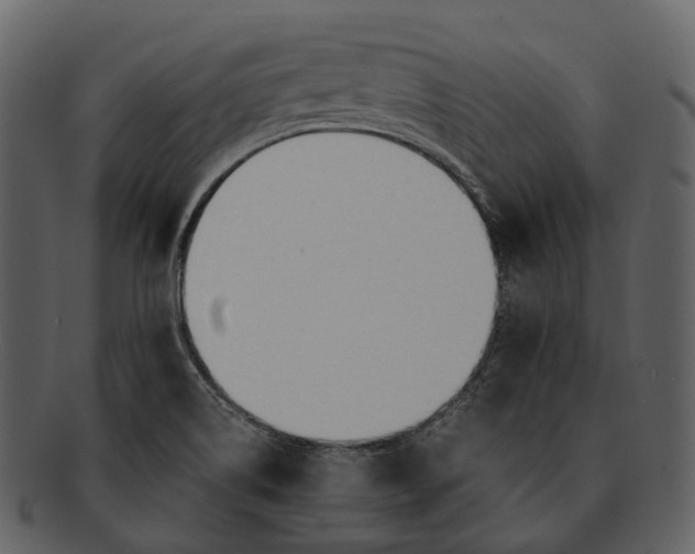 X0000092331514200710051305
