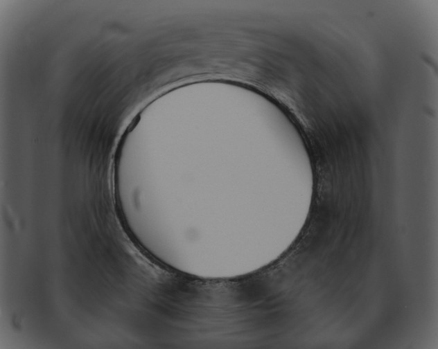X0000092331516200710051305