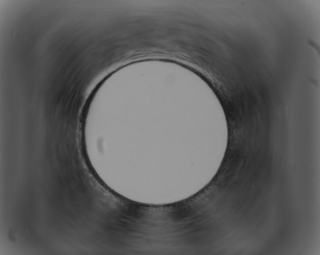 X0000092331518200710051305