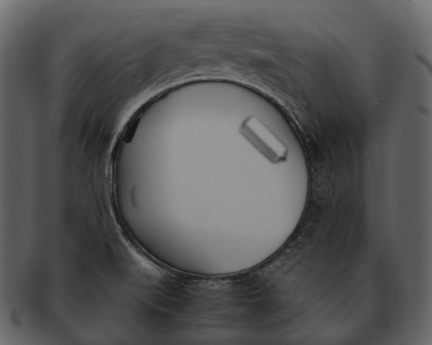 X0000092331519200710051305