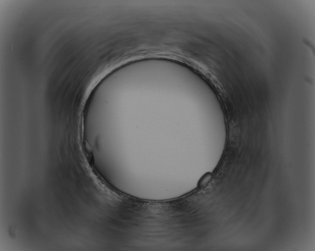 X0000092331520200710051305