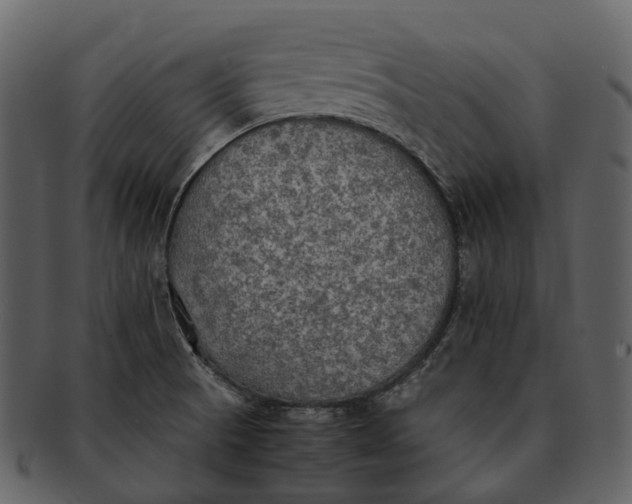 X0000092331521200710051305
