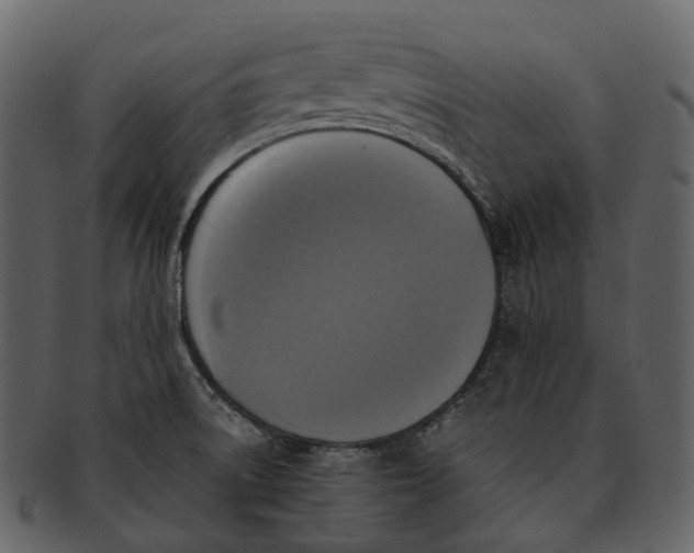 X0000092331522200710051305