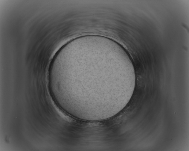 X0000092331523200710051305