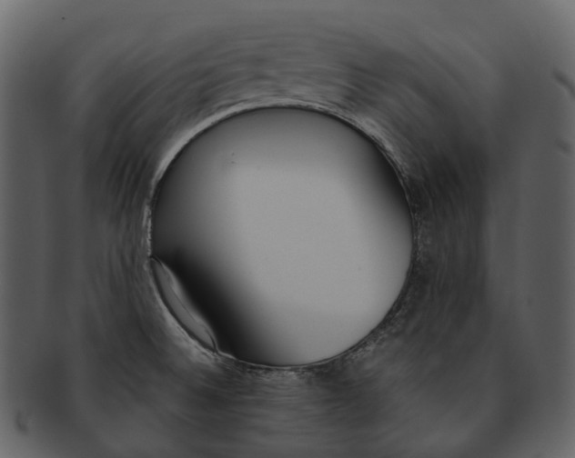 X0000092331524200710051305