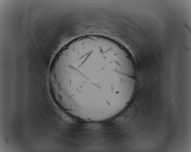 X0000092331525200710051305