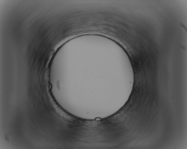 X0000092331526200710051305