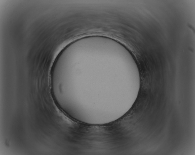 X0000092331527200710051305