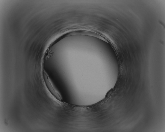 X0000092331528200710051305