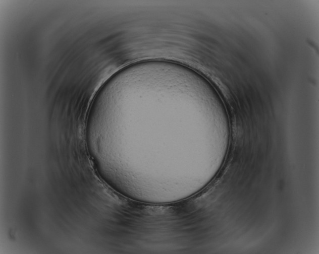 X0000092331529200710051305