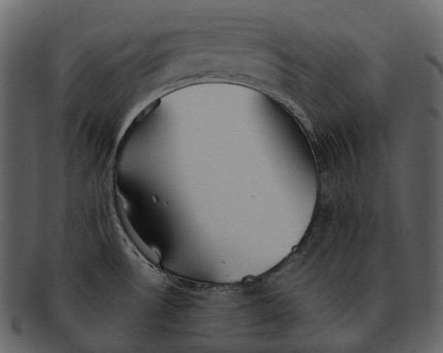 X0000092331530200710051305