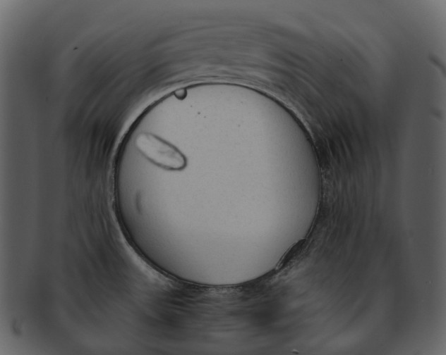 X0000092331531200710051305