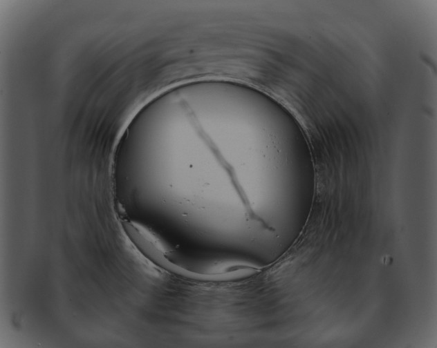 X0000092331532200710051305