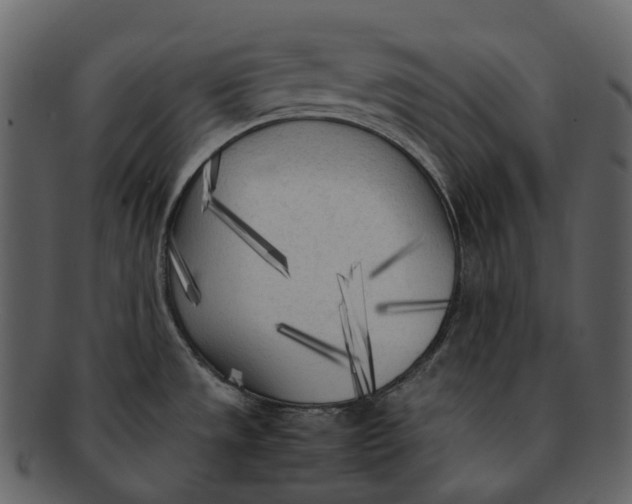 X0000092331533200710051305
