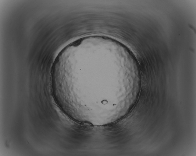 X0000092331534200710051305
