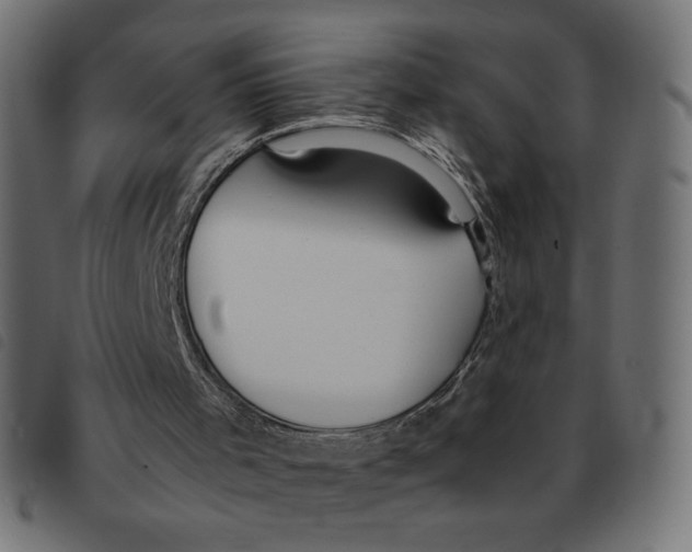 X0000092330001200710121543