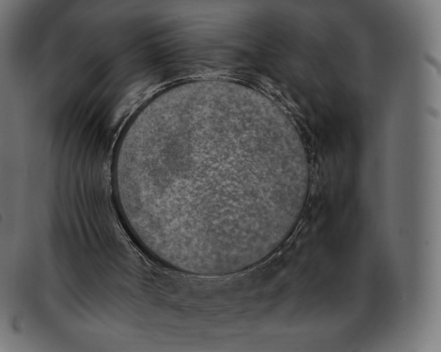 X0000092330002200710121543