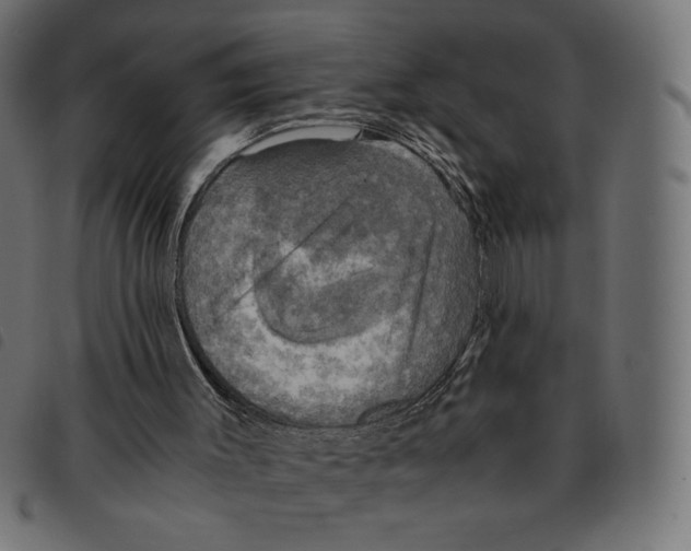 X0000092330003200710121543