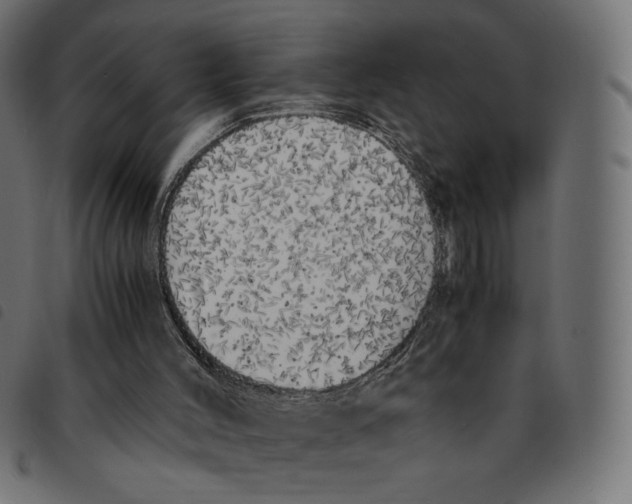 X0000092330004200710121543