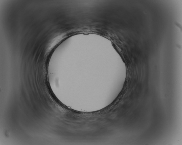 X0000092330005200710121543