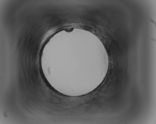 X0000092330006200710121543