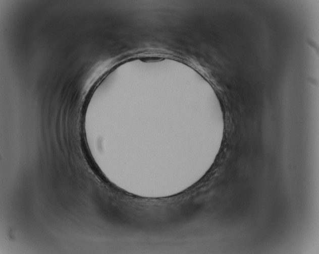 X0000092330007200710121543