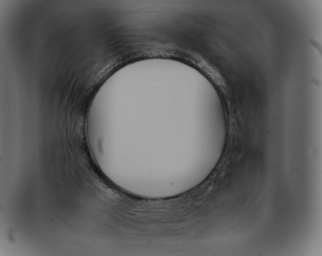 X0000092330009200710121543