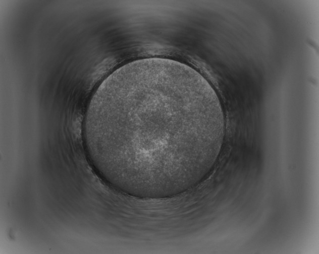 X0000092330010200710121543