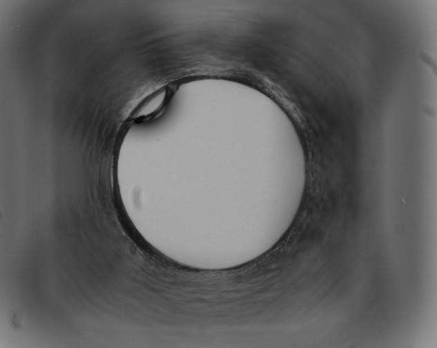 X0000092330011200710121543