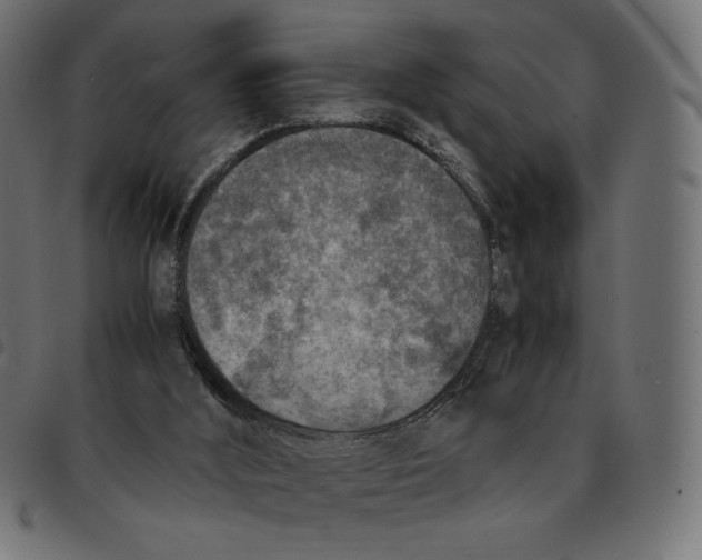 X0000092330012200710121543