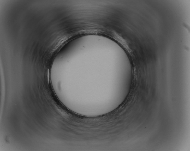 X0000092330013200710121543