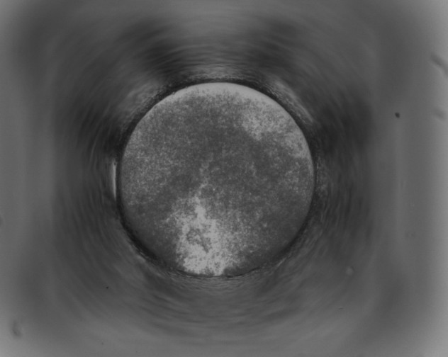 X0000092330014200710121543
