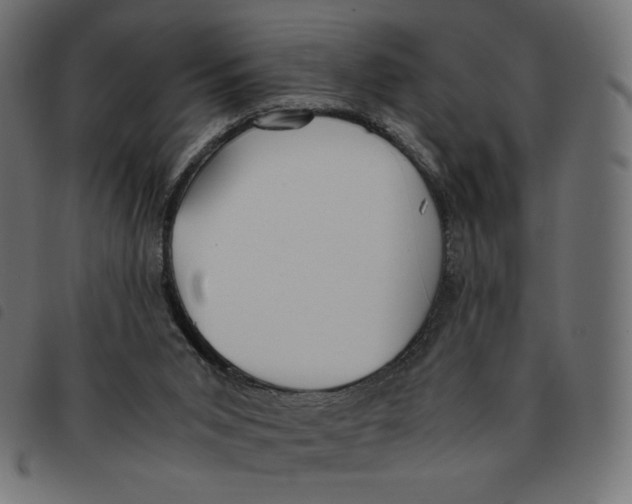 X0000092330015200710121543
