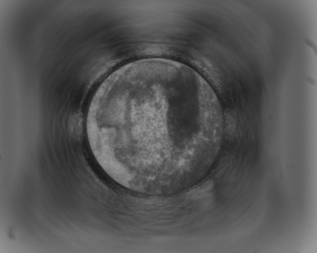 X0000092330016200710121543