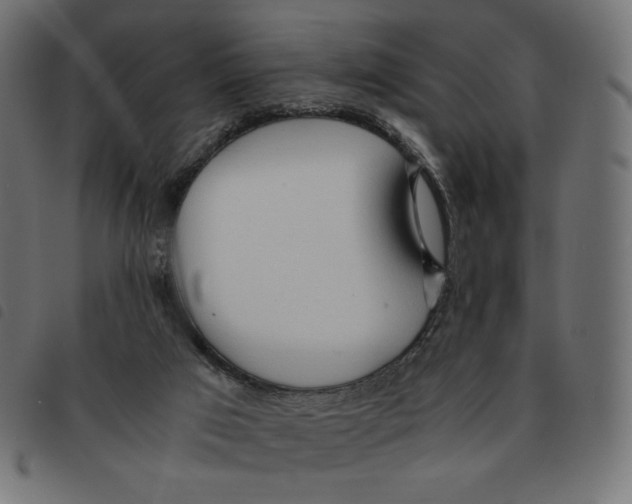 X0000092330017200710121543