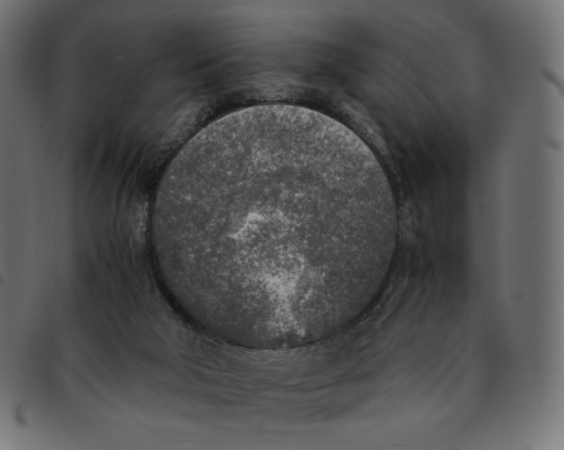 X0000092330018200710121543
