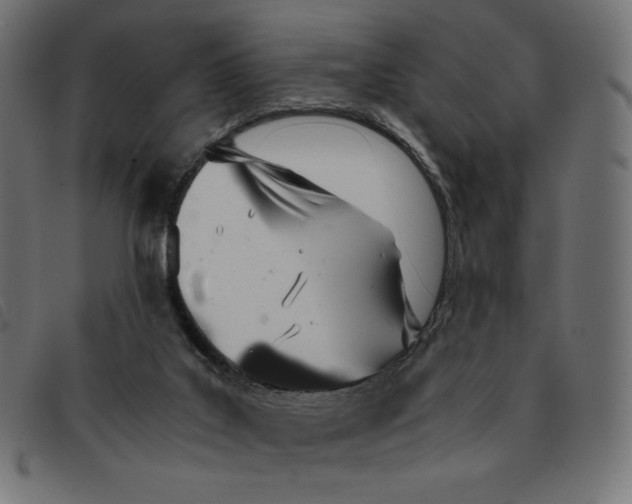 X0000092330019200710121543