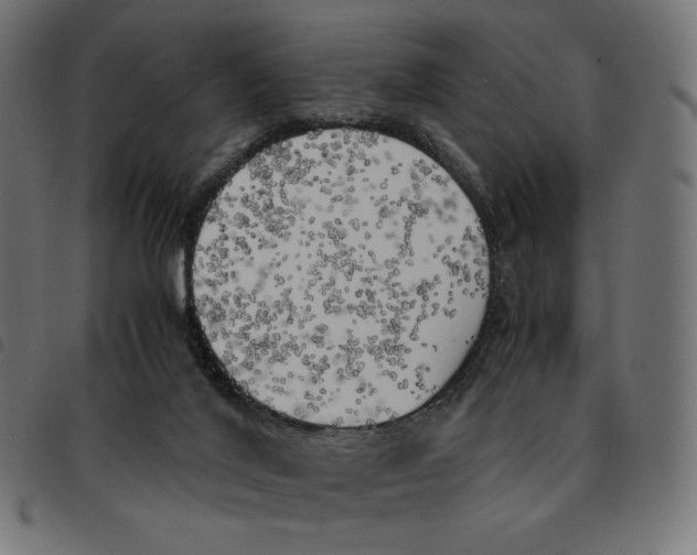 X0000092330020200710121543