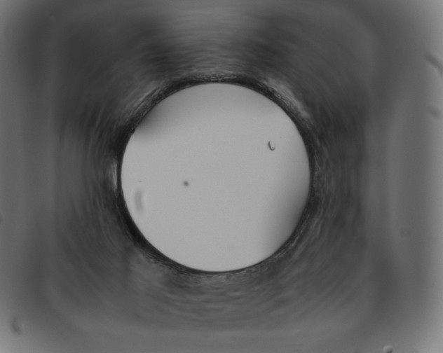 X0000092330021200710121543