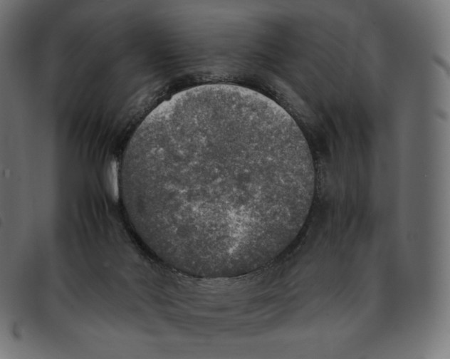 X0000092330022200710121543