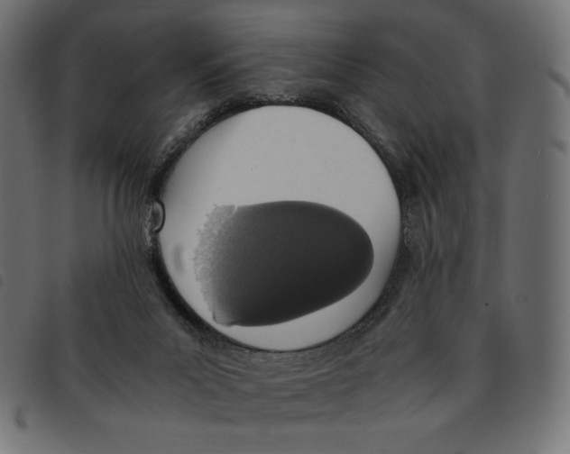 X0000092330023200710121543