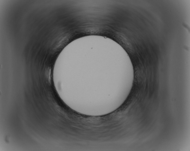 X0000092330024200710121543