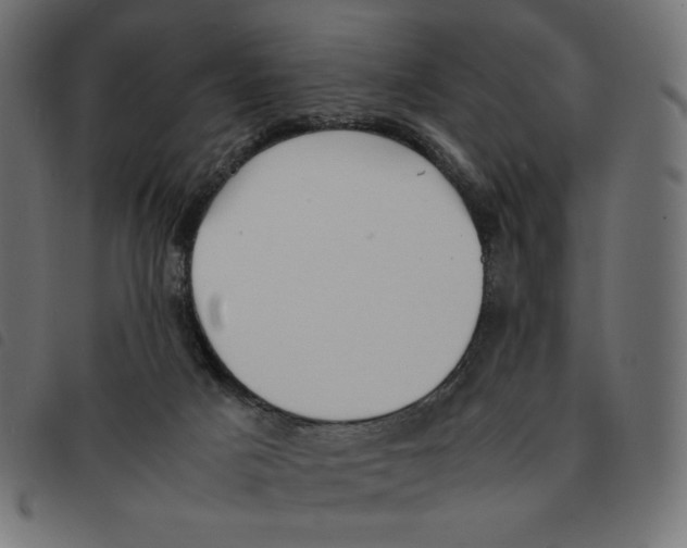 X0000092330025200710121543