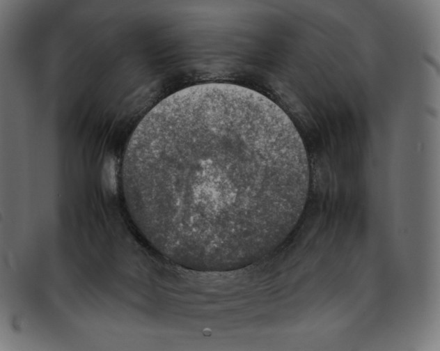 X0000092330026200710121543