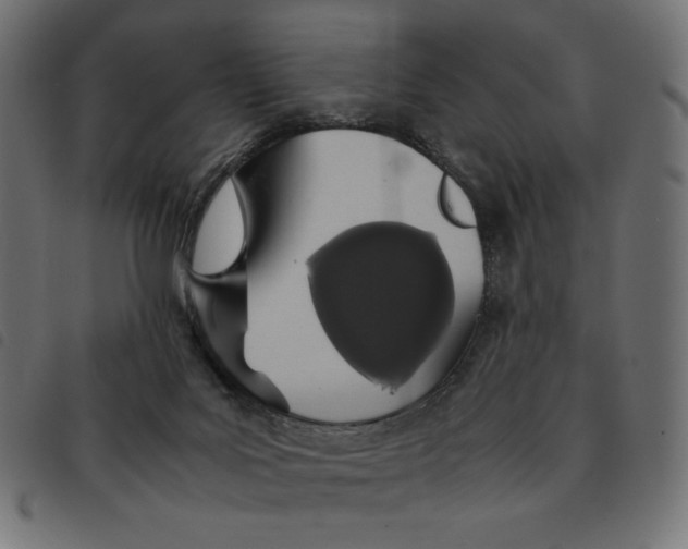 X0000092330027200710121543