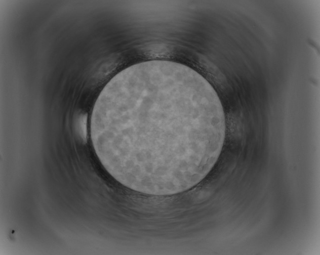X0000092330028200710121543