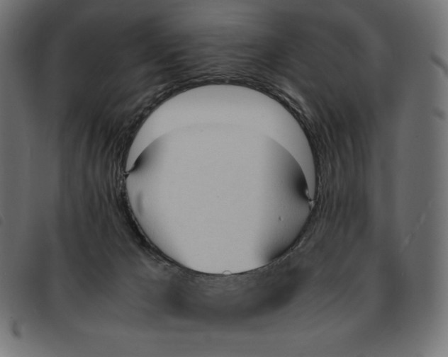 X0000092330029200710121543