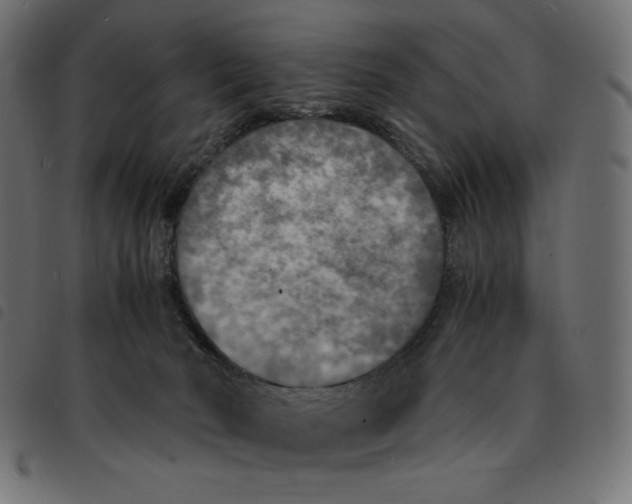 X0000092330030200710121543