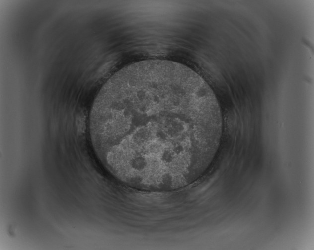 X0000092330032200710121543