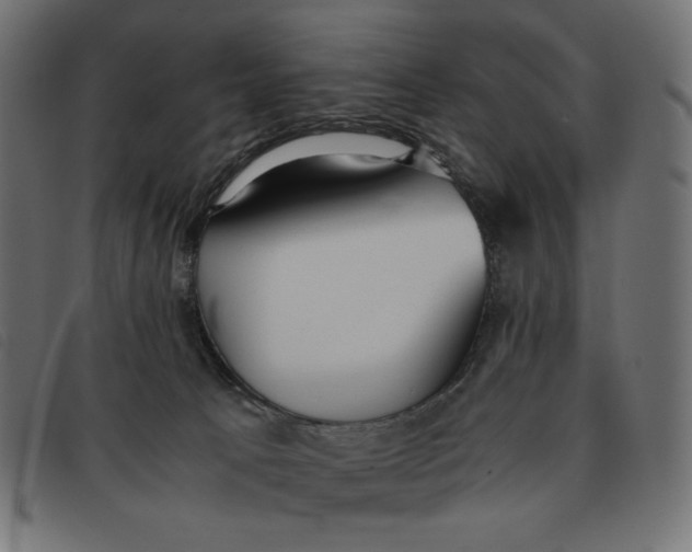 X0000092330033200710121543